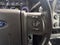 2015 Ford F-250SD Platinum