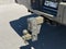 2026 Ford F-450SD King Ranch DRW