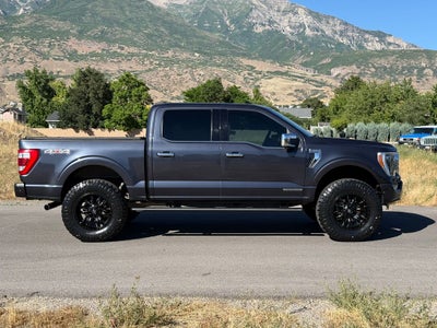 2021 Ford F-150 Platinum