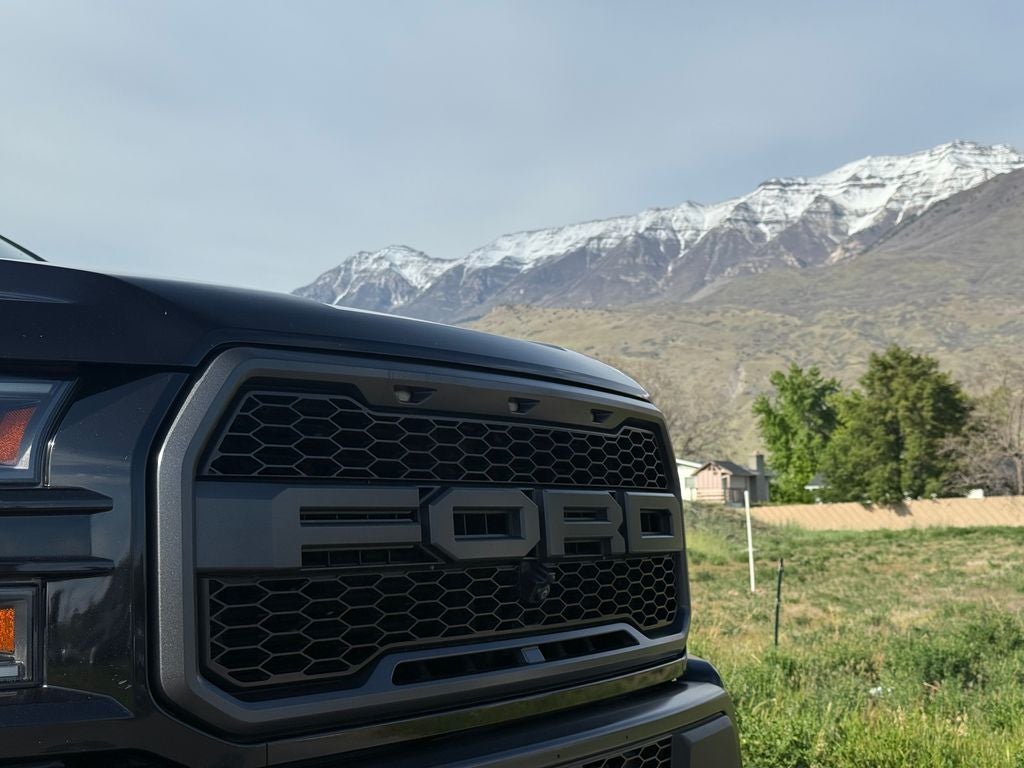 2019 Ford F-150 Raptor