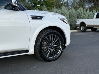 2024 INFINITI QX80 Sensory
